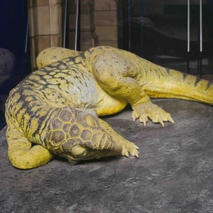 Dinosaur Torch and Projector - Dinosaurs by JBL Global