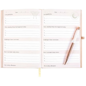 Luna Moth Daily Reflection Notebook - Journal - A5 by Kingsbury Gifts