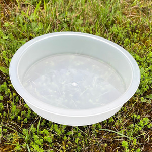 Bird Bath for Metal Bird Feeding Stations - White / 5 by Selections