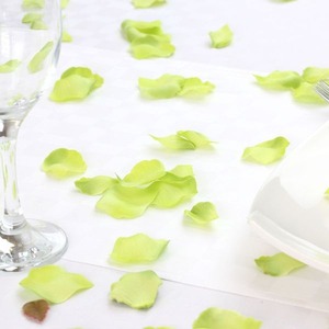 Silk Rose Petal Table Confetti - Lime by Kingsbury Gifts
