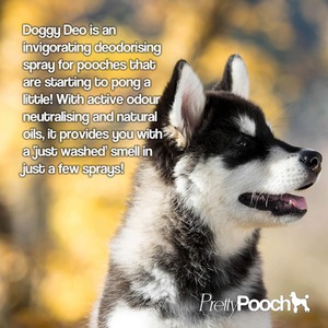 Animal Fox Poo Shampoo 2L Citrus and 2 Pack of Dog Deodoriser - Clear by Pretty Pooch