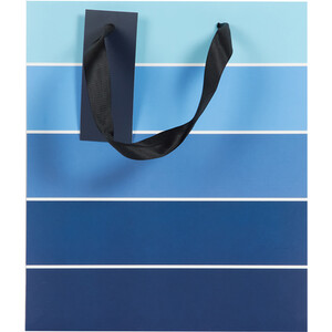 Pack of 2 Navy Medium and Small Gift Bags - Navy