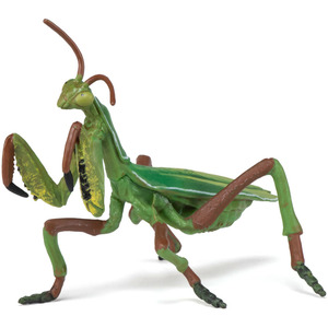 PAPO Wild Animal Kingdom Praying Mantis Toy Figure - Green by PAPO