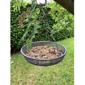 Hanging Feeder Tray