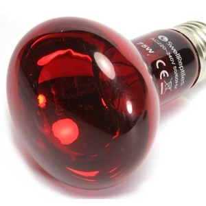 Swell Reptiles Infrared Heat Spot Lamp by Swell Reptiles