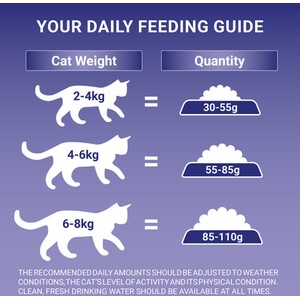 Purina ONE Sensitive Dry Cat Food - Turkey by Purina ONE