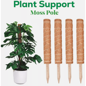 4pc Coir Plant Support - Brown by Garden Mile