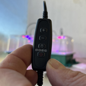 Plant Propagator Seed Tray Set with Full Spectrum USB Grow Lights - Green by Selections