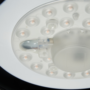 Arwel LED Bathroom Glass Dome Flush Ceiling Light by Litecraft