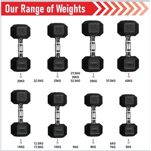 Hex Dumbbells by Body Revolution