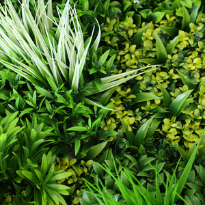 Premium Artificial Spring Green Living Wall Panel 1m x 1m - Green by True Products