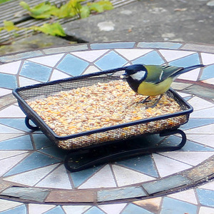 Bird Feeder Tray - Black by Actiaspet