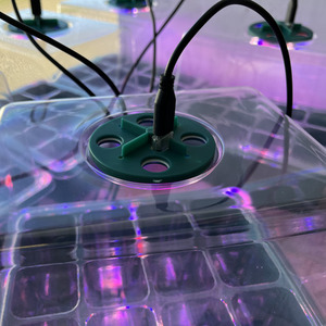 Plant Propagator Seed Tray Set with Full Spectrum USB Grow Lights - Green by Selections