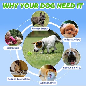 Pet Sound Ball Durable Dog Toy - Green by Dyzi