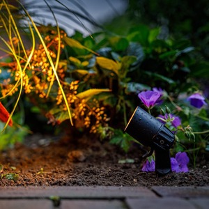 Neso 2W 12V LED Mini Outdoor Spotlight - Black by TECHMAR