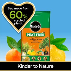 Peat Free Premium Mediterranean Citrus Compost - Brown by Miracle-Gro