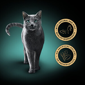 Sheba Filets in Gravy - Chicken and Tuna by Sheba