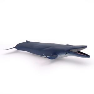 PAPO Marine Life Blue Whale Toy Figure - Blue by PAPO