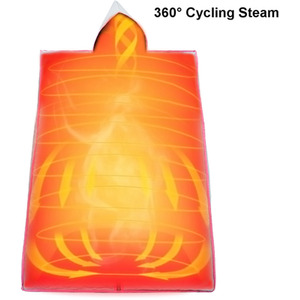 Portable Steam Sauna with 99min Timer - Silver by Livingandhome