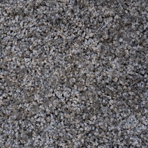 Soft Value Grey Shaggy Area Rug by The Rug House