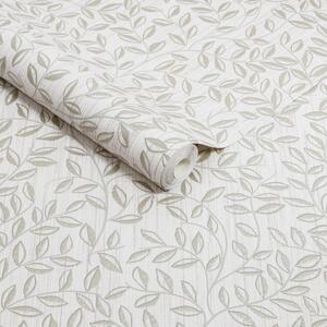 Superfresco Willow Wallpaper by Superfresco