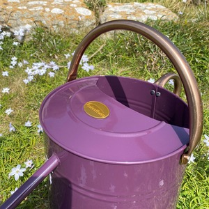 9 Litre Metal Watering Can with Rose - Heather by Selections