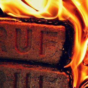 Laeto Firewood Depot Kiln Dried Ruf Block Briquettes by Laeto