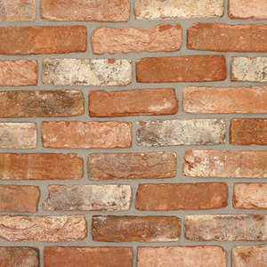 Blend 4 Brick Slips Sample Panel - Red by The Brick Tile Company