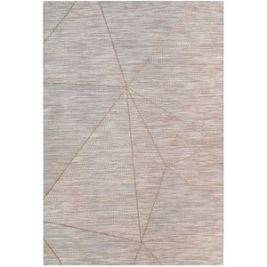 Beige Distressed Textured Flatweave Indoor Outdoor Weatherproof Rug by The Rug House