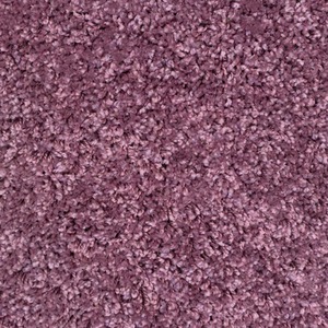 Soft Value Purple Mauve Shaggy Area Rug by The Rug House