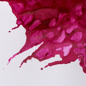 Winsor and Newton 14ml Drawing Ink - Purple by Winsor & Newton