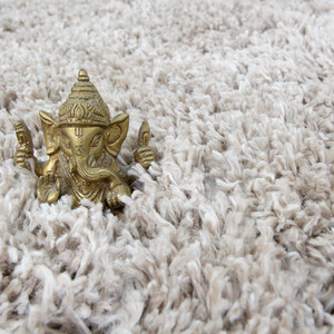 Super Soft Beige Shaggy Living Area Rug by The Rug House