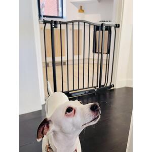 Curved Top Dog Gate - Matt Black / 143cm by Bettacare