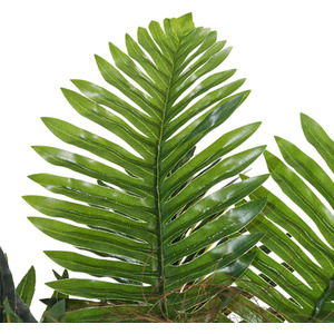 Artificial Phoenix Fern Tree - Green / 90cm by Garden Sanctuary
