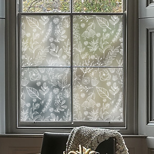 Agira Frosted Privacy Window Film by Creative Printing Solutions