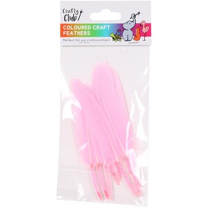 Coloured Crafting Feathers by Crafty Club