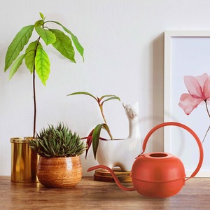 The Mia Red Watering Can - Red by The Mia UK