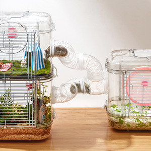 Transparent Hamster Cage by Livingandhome