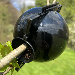 Plant Grafting Air Layering Set of 12 Root Propagating Balls - Black by Selections