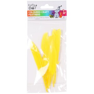 Coloured Crafting Feathers by Crafty Club