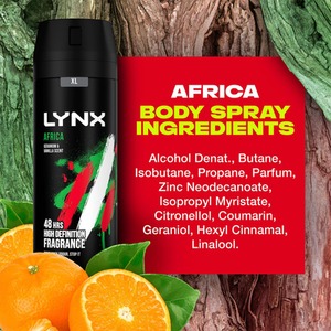 Lynx XL 48-Hour Odour Protection Body Spray Deodorant, 3 or 6 Pack, 200ml - Green / 6 by Lynx