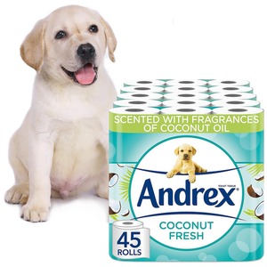 Andrex Toilet Rolls Coconut Fresh Toilet Tissue Paper - 45 by Andrex