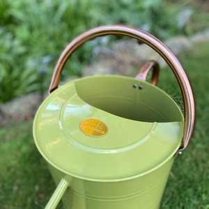 9 Litre Metal Watering Can with Rose - Sage by Selections