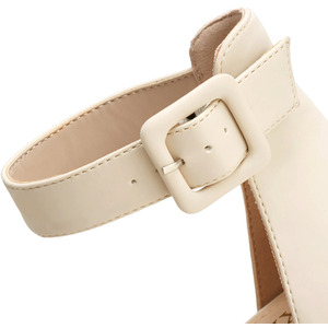 High Heels Pointed-Toe Block Pumps with Ankle Strap by Livingandhome