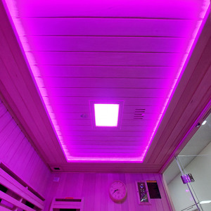 Indoor Family 4 - 6 Person Infrared Sauna - Canadian Spruce by Insignia