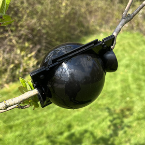 Plant Grafting Air Layering Set of 12 Root Propagating Balls - Black by Selections