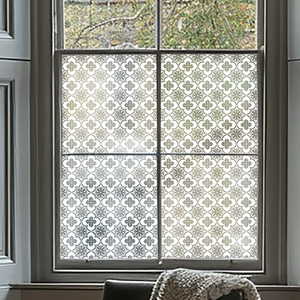 Ailoche Frosted Window Film by Creative Printing Solutions