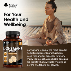 Lions Mane Mushroom 2000mg - Brown by NEW LEAF PRODUCTS