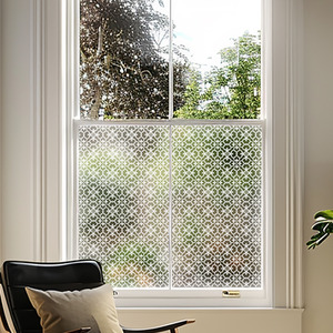 Aglie Frosted Privacy Window Film by Creative Printing Solutions