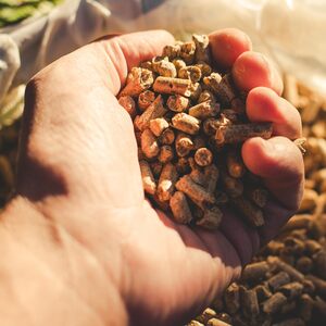 Laeto Firewood Depot Pizza Oven Wood Pellets - Neutral by Laeto